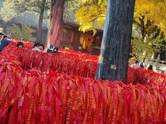 -红螺寺