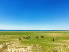 -青海湖国家重点风景名胜区