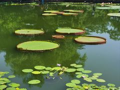 -国家植物园南园