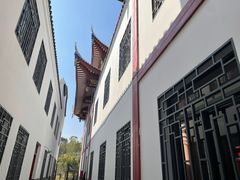 -牛岗山公园