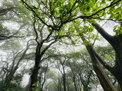 -海口火山口国家地质公园