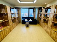 -猫十亿·布偶金渐层·曼基康矮脚猫舍(青年路店)