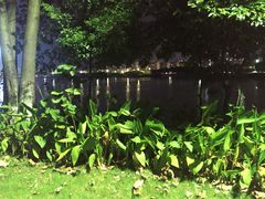 -艾溪湖湿地公园