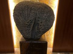 -森波拉火山温泉