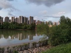 -大亚湾红树林城市湿地公园