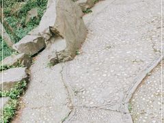 -上海佘山国家森林公园天马山园