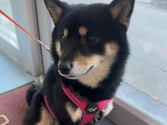 -全心全意动物诊疗中心医院(北苑店)
