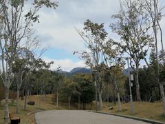 -牛岗山公园