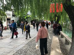 -猫的天空之城概念书店(苏州平江店)