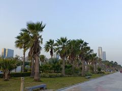 -椰风寨