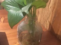 -又一福烤鸭·北京菜(东四店)