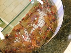 -春华海鲜城(广场西苑店)