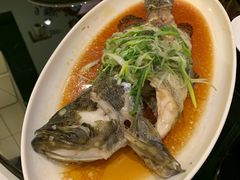 清蒸油水青斑-炳胜品味(海印总店)