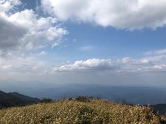 -大围山国家森林公园