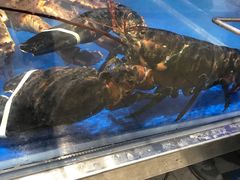 -盒马鲜生(财富中心店)