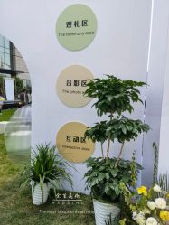 -余笙是你婚礼策划(创意谷店)