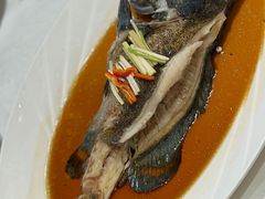 -万宝海鲜舫(劳动公园店)