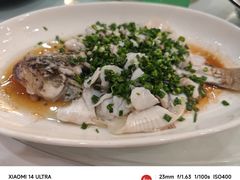 -东江渔村·古典园林·30年粤菜老字号(太和店)