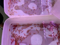 -华声天桥民俗文化园