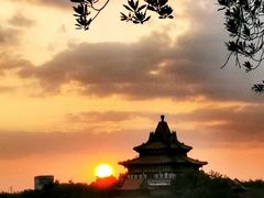 -顺峰山公园