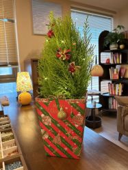 -水仙美肌面部护理美容馆