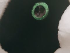 -眉州东坡(清河万象汇店)