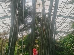 -呀路古热带植物园