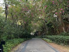 -广州都喜泰丽温泉度假酒店
