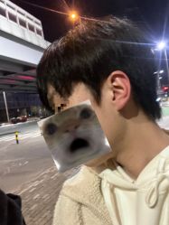 -罗亚帝造型
