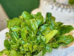 -喜聚薈·花膠雞海鮮火鍋(越秀店)
