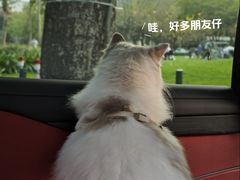 -二沙岛艺术公园