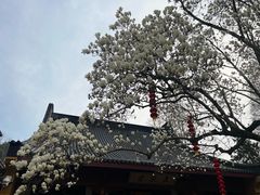 -杭州上天竺法喜讲寺