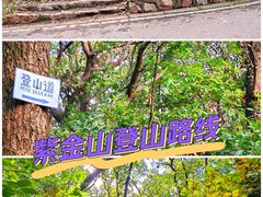 -紫金山山顶公园