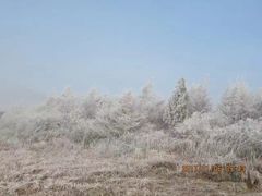-阳台山自然风景区