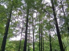 -苏州河梦清园环保主题公园