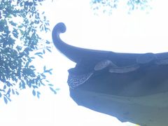 景点-太和古洞