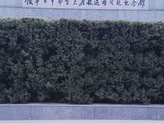 -侵华日军南京大屠杀遇难同胞纪念馆