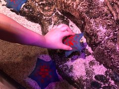 -沈阳海洋探索中心