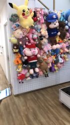 -YESIDO椰岛造型