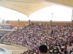 -秦皇岛乐岛海洋王国