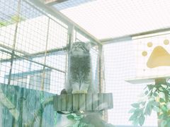-青藏高原野生动物园
