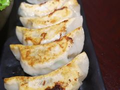 煎饺-纪州豚骨酱油拉面(锦延路店)