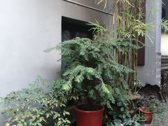 -唔呶喔哩酒家(生产街店)