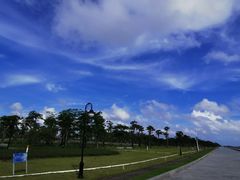 -芒洲湿地公园