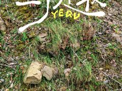-平湖九龙山旅游度假区