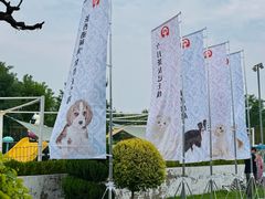 -爪吧宠物乐园·宠物泳池(温榆河示范区店)