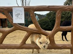 -无锡动物园·太湖欢乐园