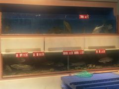 -皮记海鲜1995(寮步店)