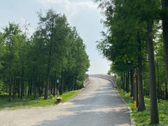 -广富林郊野公园