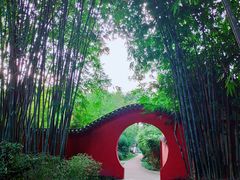 景点-望江楼公园